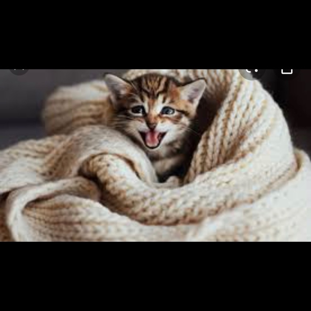 Meet your Posher, Tyrese